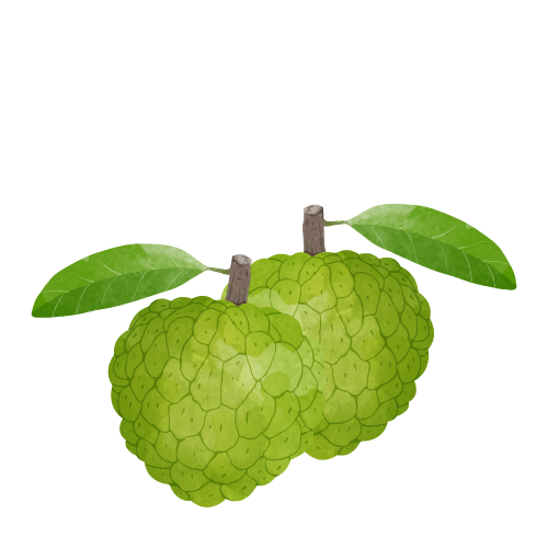 Custard Apple