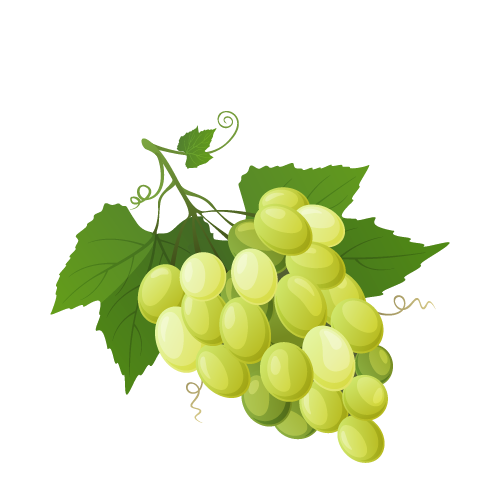 Grapes